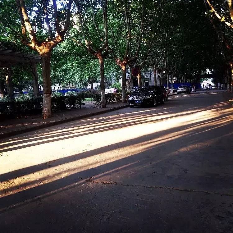 西法大,西法大以后还能评上双一流吗