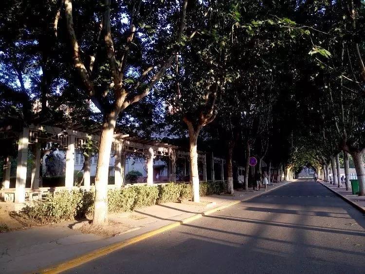 西法大,西法大以后还能评上双一流吗