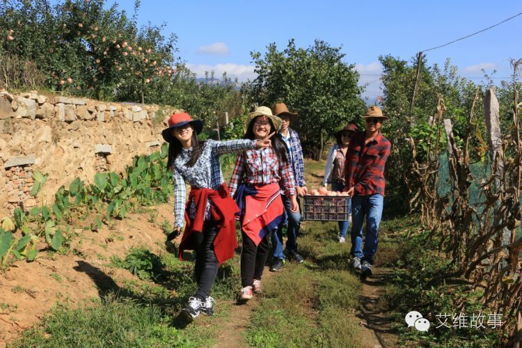 艾维wwoofer之：一路前行，一路感动