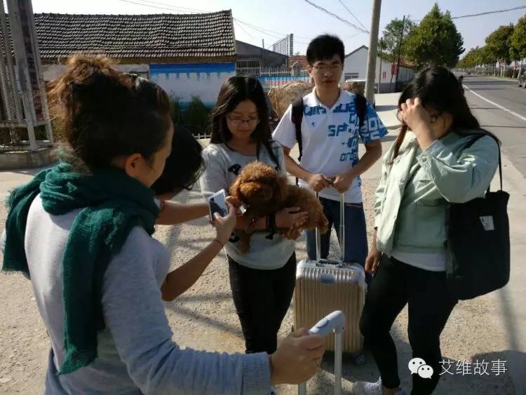 艾维wwoofer之：一路前行，一路感动