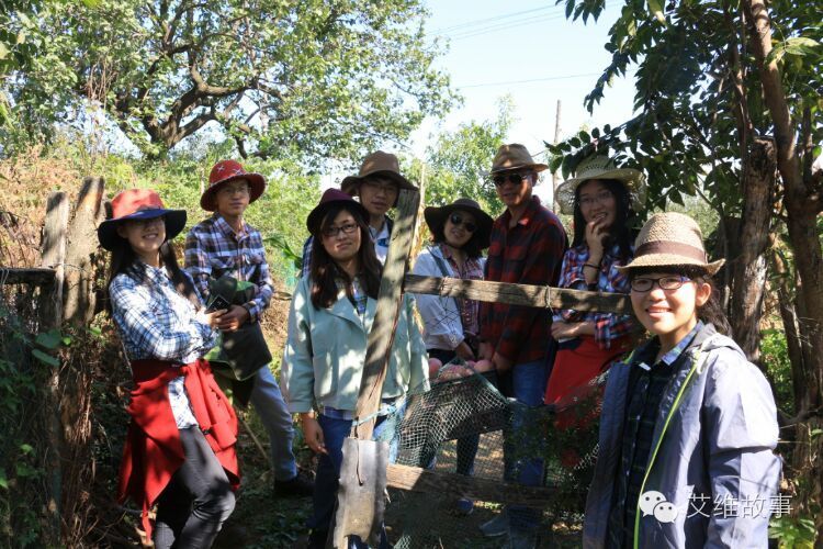 艾维wwoofer之：一路前行，一路感动