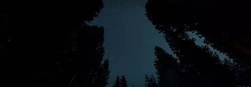 坑爹生存游戏攻略,一个惨绝人寰的生存游戏