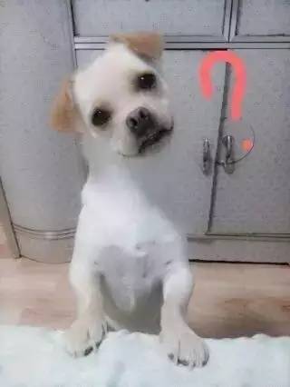 如何一句话描述大学生活？（条条中枪）