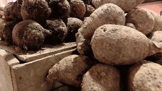 荔浦芋最好吃的做法,吃一整个荔浦芋头