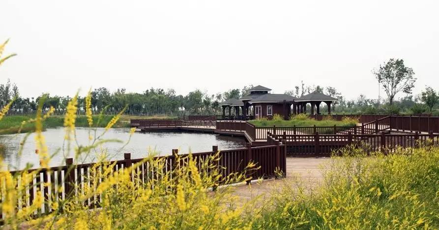 天津一共有多少个公园,天津有哪八个公园