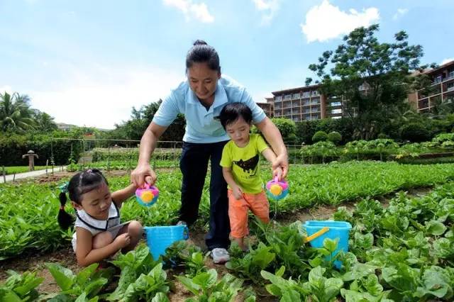 三亚亚龙湾海景酒店第一名,红树林亚龙湾酒店亲子酒店