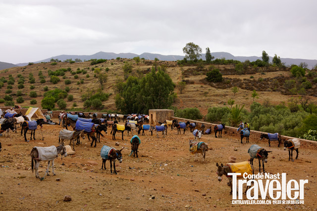马拉喀什天气,马拉喀什有多迷人