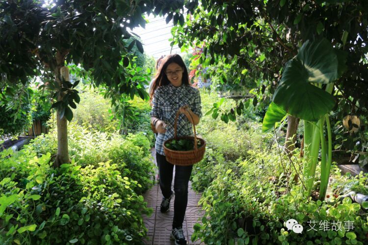 艾维wwoofer之：一路前行，一路感动