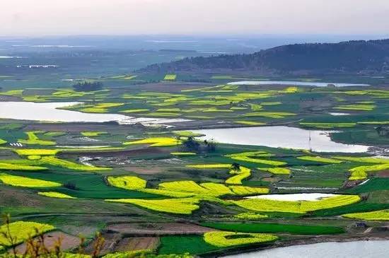 合青高铁开建了没,京沪高铁滁州站规划图