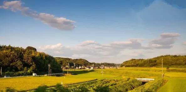 合青高铁开建了没,京沪高铁滁州站规划图