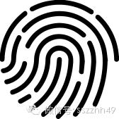 健身补剂真正有用的是什么成分,关于健身补剂您真的懂吗