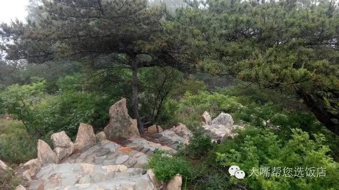 大连周边吃喝玩乐一日游,大连周边五日游攻略