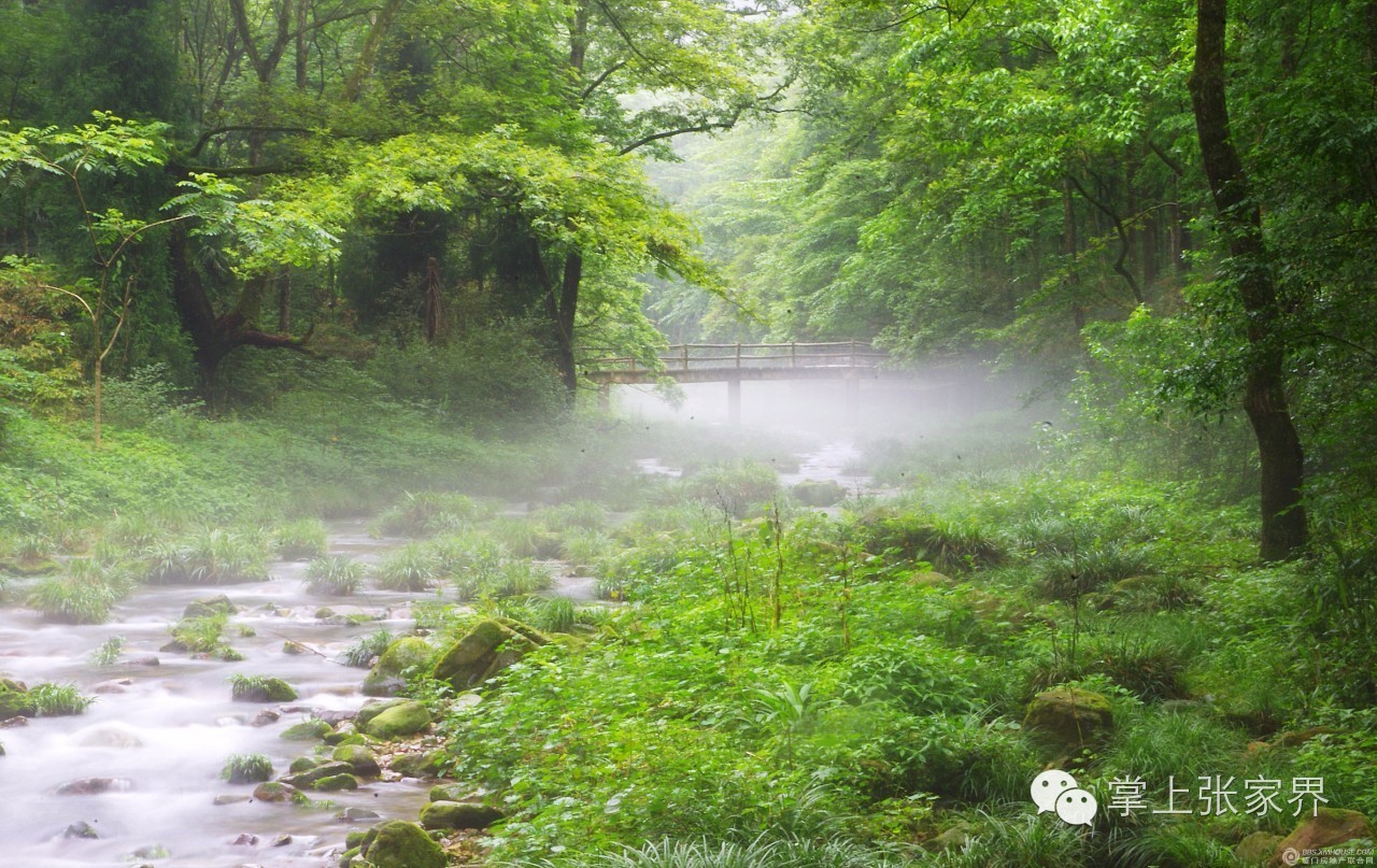 这种高度数的水，适合在潺潺溪水边慢慢地品