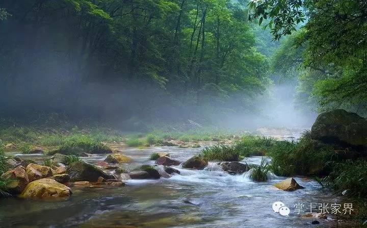 这种高度数的水，适合在潺潺溪水边慢慢地品