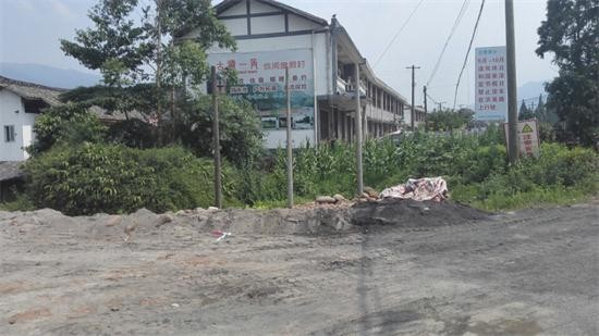 黄连今日行情分析,黄连会跌价吗