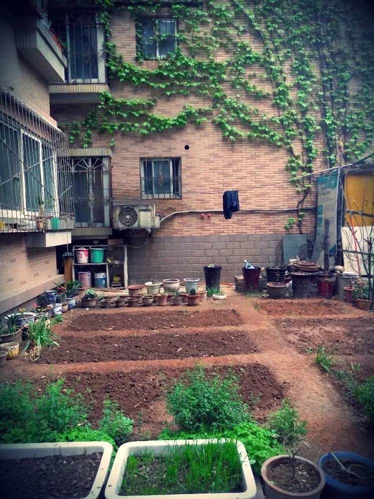 西法大,西法大以后还能评上双一流吗