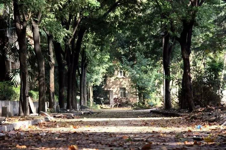 西法大,西法大以后还能评上双一流吗