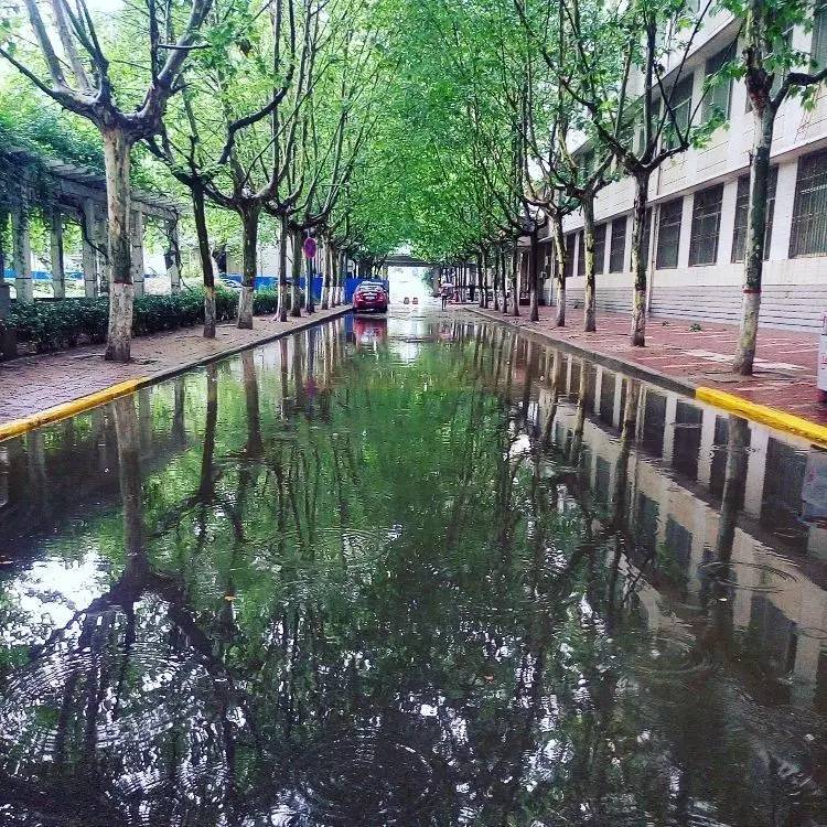 西法大,西法大以后还能评上双一流吗