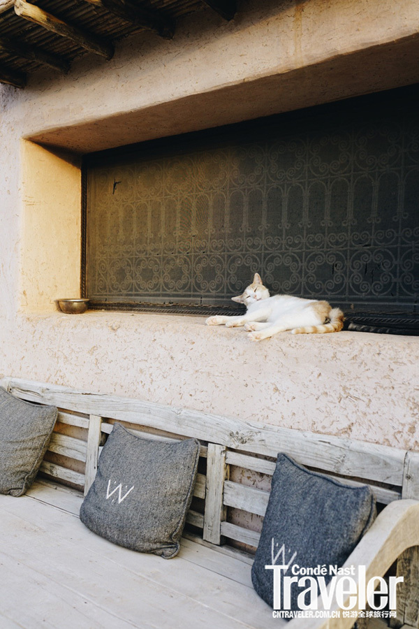 马拉喀什天气,马拉喀什有多迷人