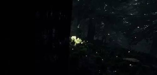 坑爹生存游戏攻略,一个惨绝人寰的生存游戏