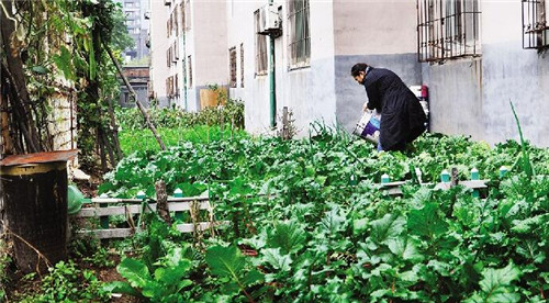 物业走了问题堆下了,弃管小区逐渐变成了大杂院