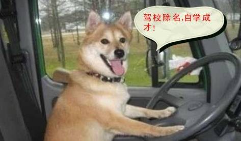 能打差评，还能拒付费，在杭州可以这样学车？！