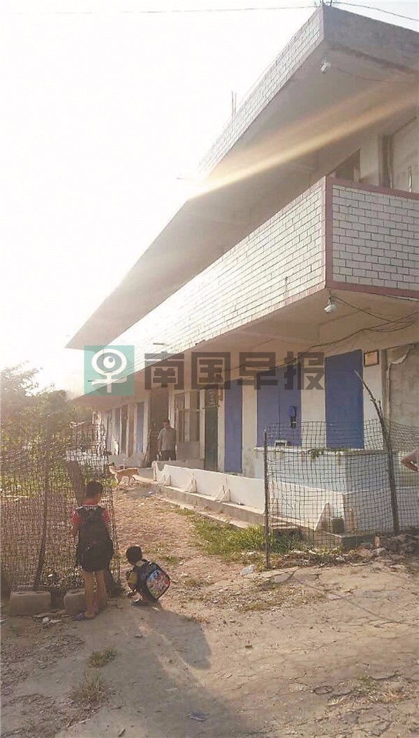 广西一小区内多种毒蛇出没抓不完,广西最大毒蛇