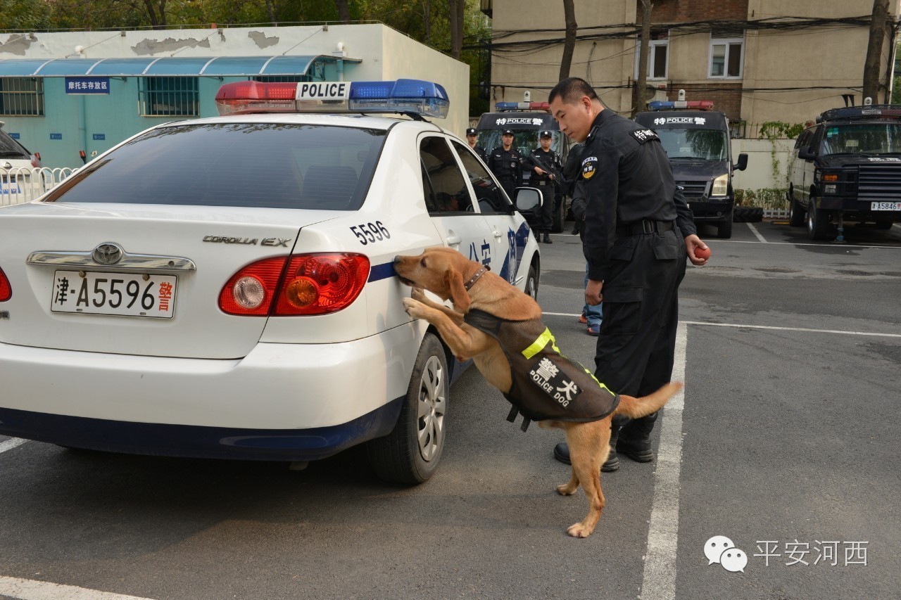 警营开放日小记者团进警营,小记者走进军营