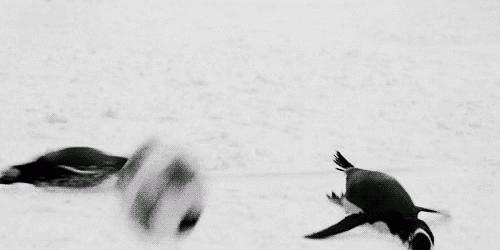 国足又输了吗,国足又输了的说说