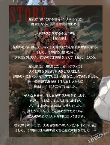 魔女与百骑兵2第一弹,魔女与百骑兵2boss攻略