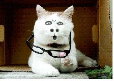 「妹逗体育」刘国梁秀自拍黑马琳：这大脸估计够你媳妇亲一个礼拜还没亲完呢