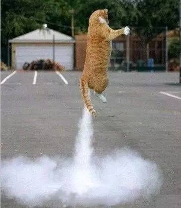 小神说民生丨700元新衣穿2小时起球·闹离婚妻子怒砸车·不合格米粉致娃腹泻