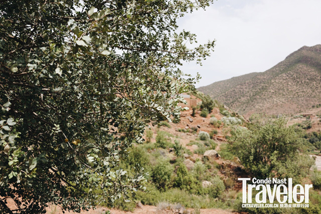 马拉喀什天气,马拉喀什有多迷人