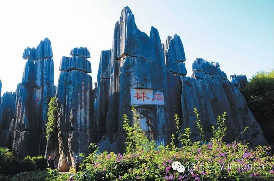 云南旅游红黑榜第十期,云南十一旅游公告
