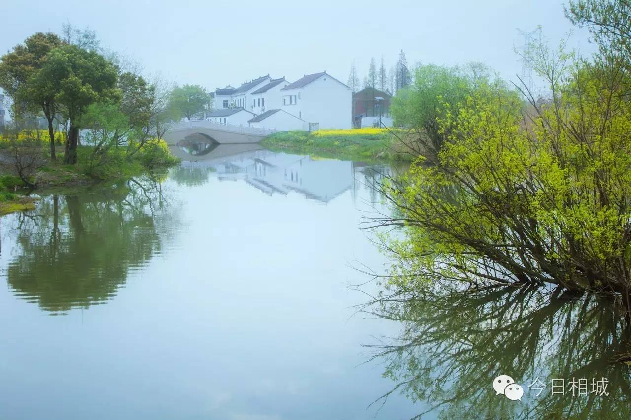 Hi~观前，我是黄埭，咱们12号见！我有一大堆好东西！