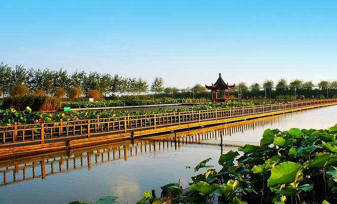 合青高铁开建了没,京沪高铁滁州站规划图