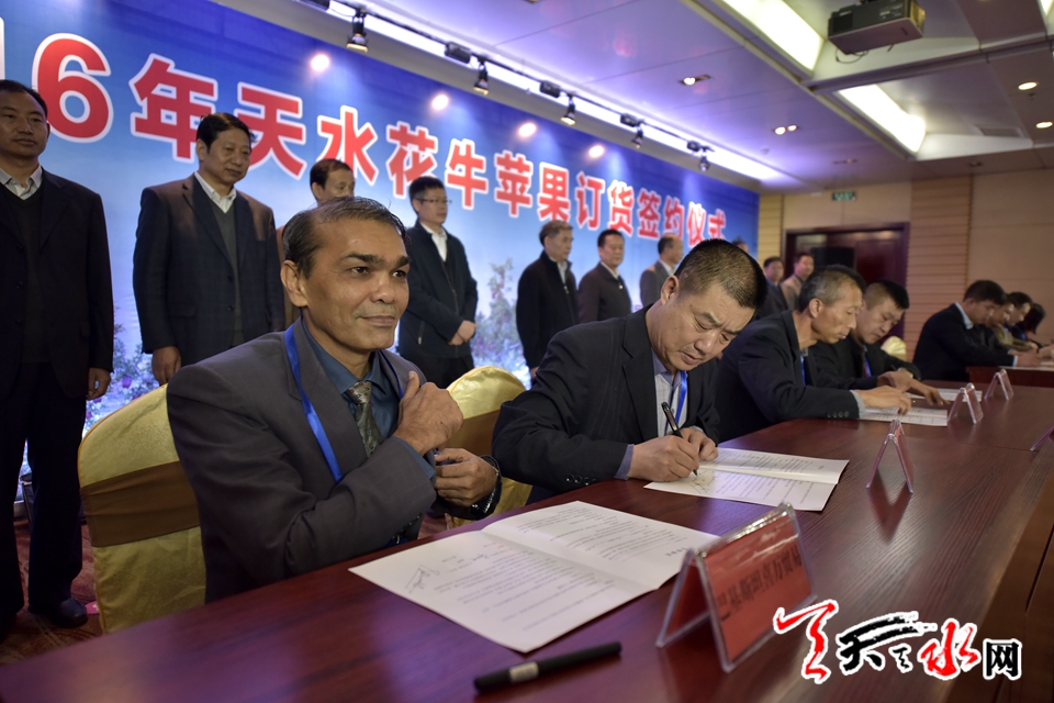 天水花牛苹果顺丰专场,天水花牛苹果发货现场