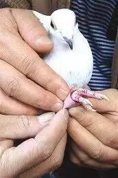 藏毒方式大揭秘，哪一种最新奇？