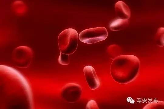 贫血跟高血压有什么区别,严重贫血和高血压的关系