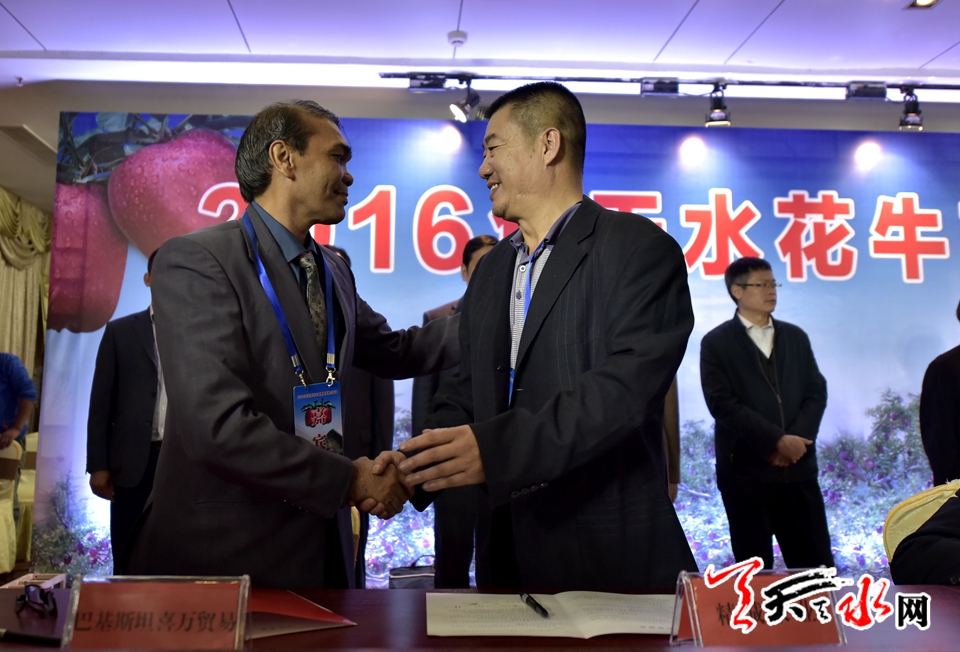 天水花牛苹果顺丰专场,天水花牛苹果发货现场