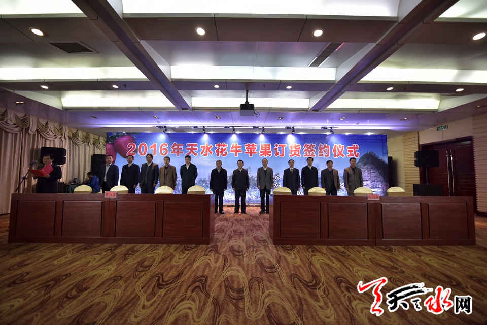 天水花牛苹果顺丰专场,天水花牛苹果发货现场