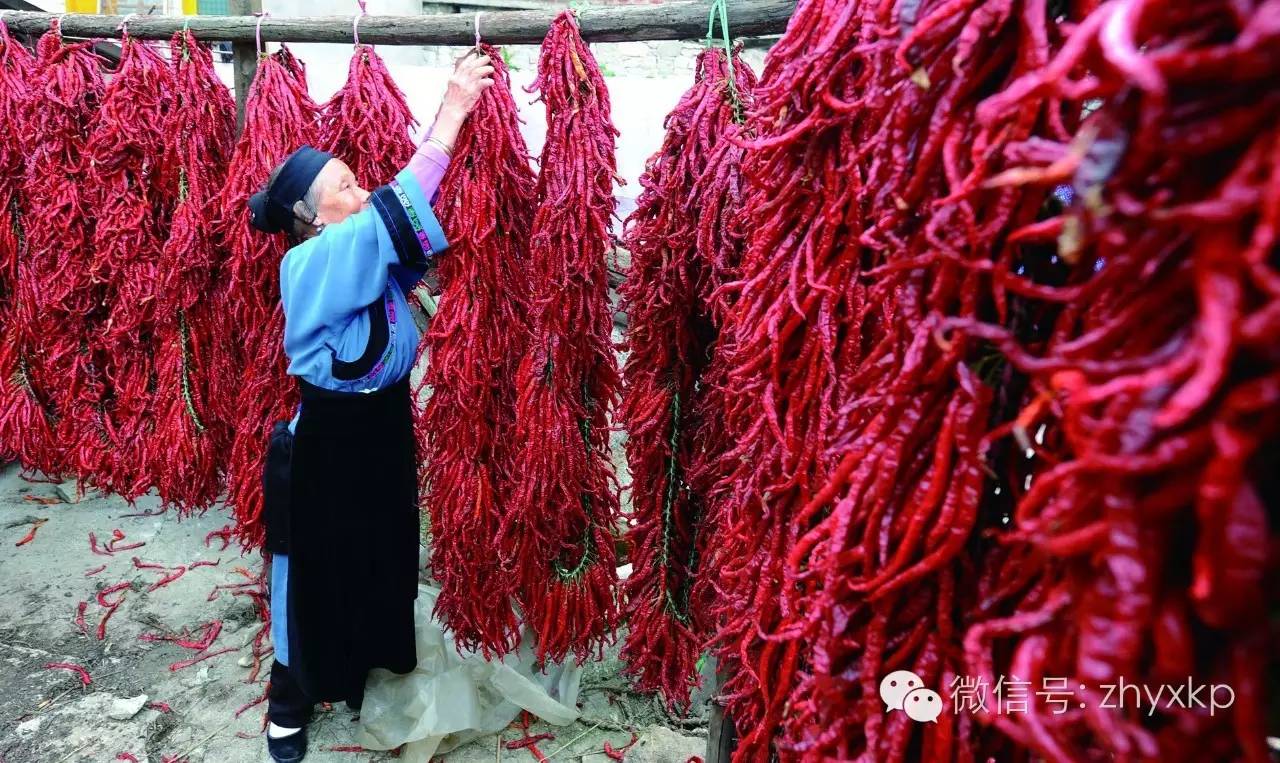 吃辣椒感觉舒服什么原因,吃辣椒反而肚子舒服了