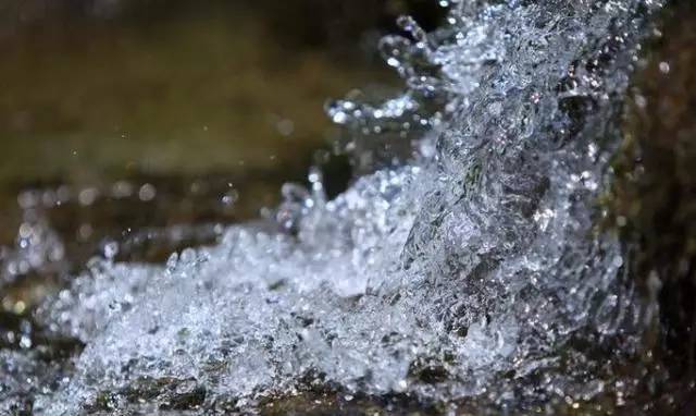 怎么使用一个紫砂壶冲泡好几种茶,哪些茶用紫砂壶冲泡比较好一点