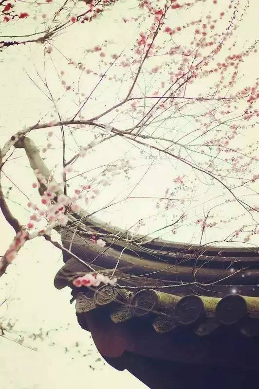 婉约派中国宋词的柔美之风,柔美的古诗赏析