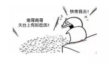 南宁最值得吃的餐厅,南宁最高风景最好的餐厅