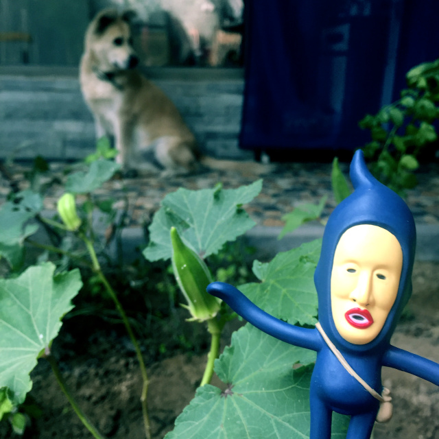 挑战你们的审美,挑战你的审美