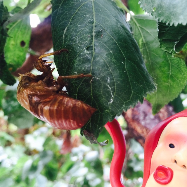 挑战你们的审美,挑战你的审美