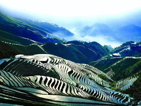 广西最有影响力的7个县,广西优秀的学习榜样