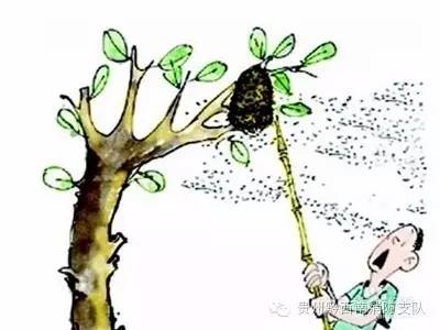 被蜜蜂马蜂蛰了一下该怎么处理,被马蜂蛰了怎么办最有效的方法