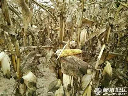 小神说民生丨700元新衣穿2小时起球·闹离婚妻子怒砸车·不合格米粉致娃腹泻